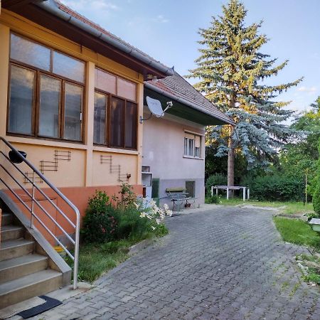 Zadora Haus Apartment Săcele Екстериор снимка